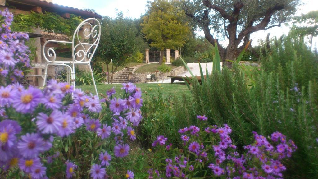 Bed and Breakfast Poggio Dei Prugnoli Tavoleto Exterior foto