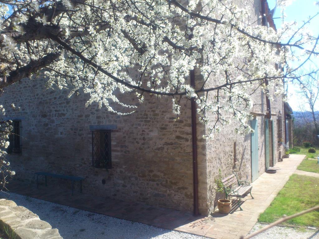 Bed and Breakfast Poggio Dei Prugnoli Tavoleto Exterior foto